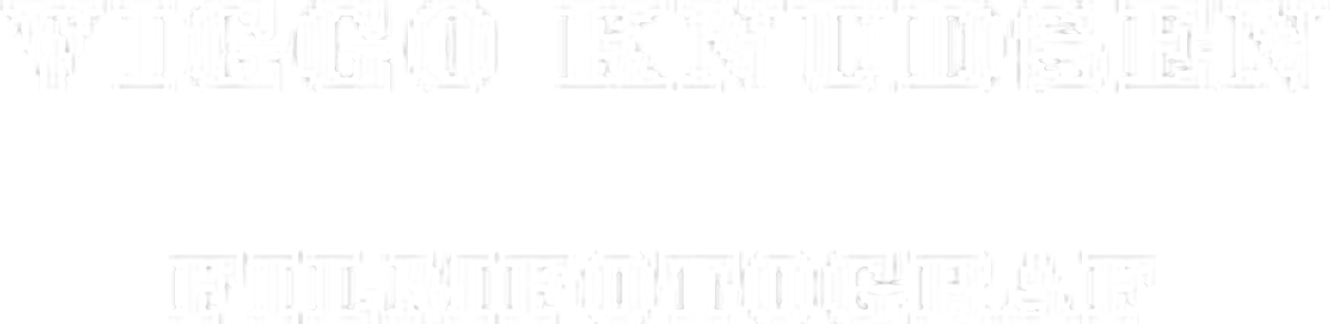 Logo, Viggo Knudsen